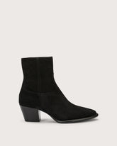 - | Seventy Venezia