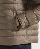  -  | Seventy Venezia
