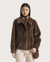  -  | Seventy Venezia
